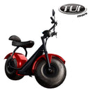 Tui mais bicicleta elétrica 1000W não precisa de CNH e não tem limite de idade