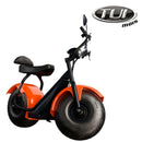 Tui mais bicicleta elétrica 1000W não precisa de CNH e não tem limite de idade