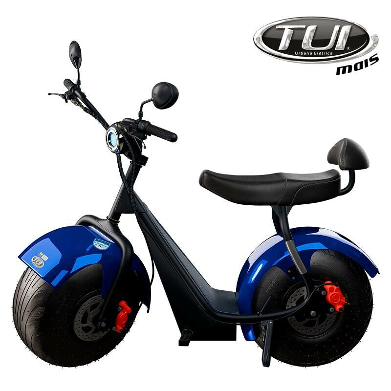 Tui mais bicicleta elétrica 1000W não precisa de CNH e não tem limite de idade