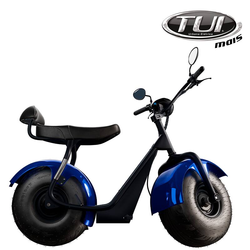 Tui mais bicicleta elétrica 1000W não precisa de CNH e não tem limite de idade