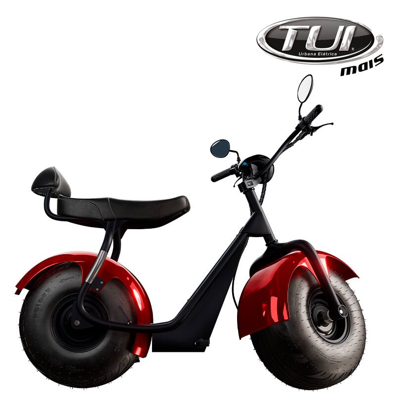 Tui mais bicicleta elétrica 1000W não precisa de CNH e não tem limite de idade