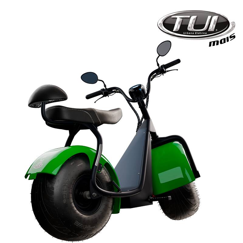 Tui mais bicicleta elétrica 1000W não precisa de CNH e não tem limite de idade