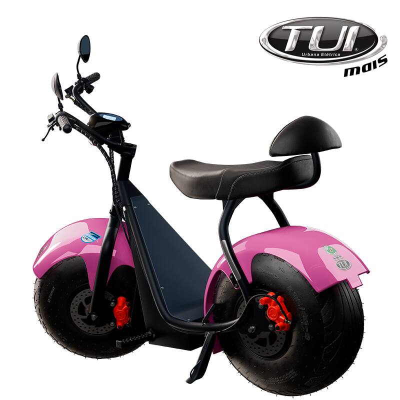 Tui mais bicicleta elétrica 1000W não precisa de CNH e não tem limite de idade