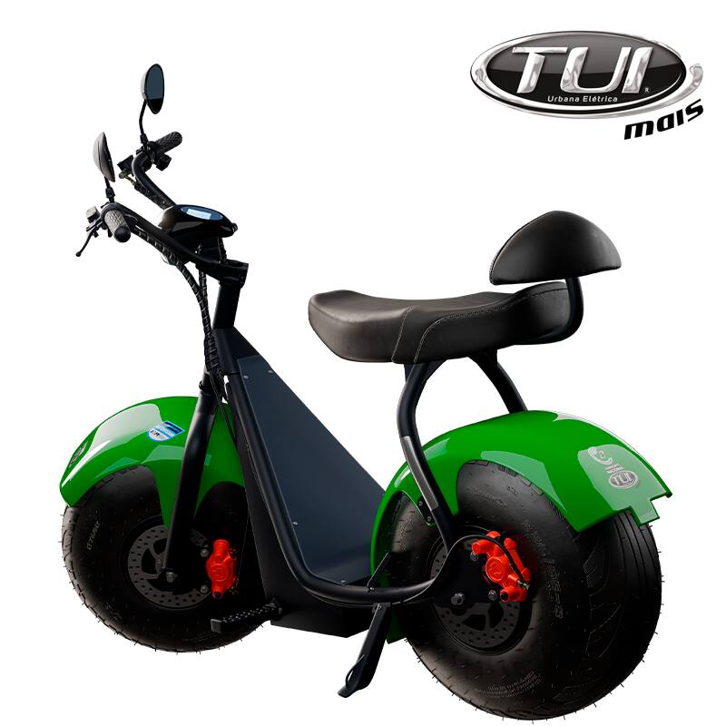 Tui mais bicicleta elétrica 1000W não precisa de CNH e não tem limite de idade