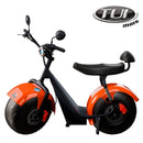 Tui mais bicicleta elétrica 1000W não precisa de CNH e não tem limite de idade