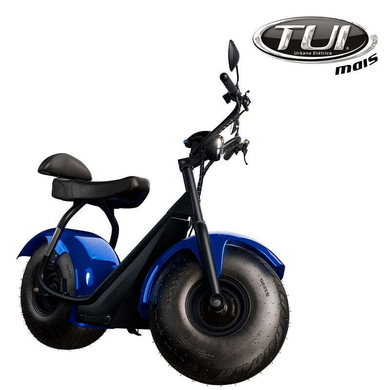 Tui mais bicicleta elétrica 1000W não precisa de CNH e não tem limite de idade
