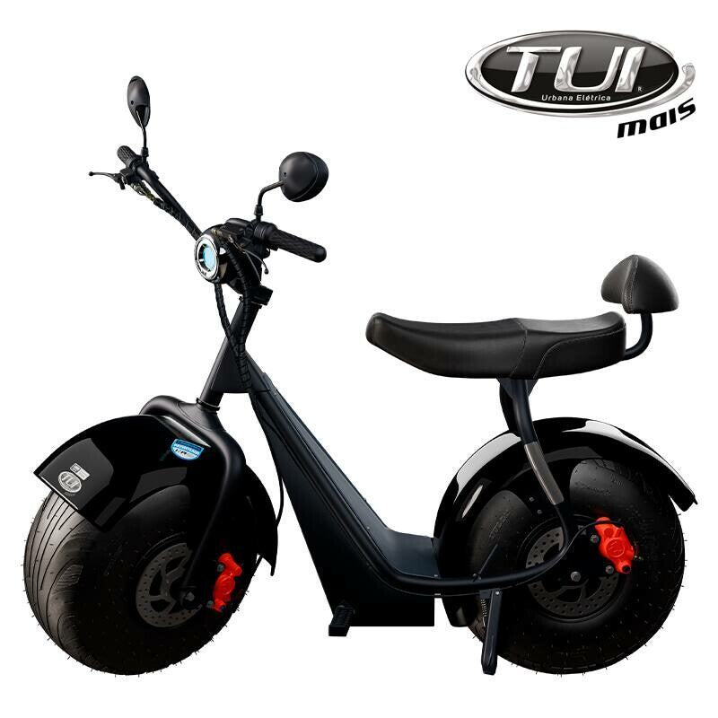Tui mais bicicleta elétrica 1000W não precisa de CNH e não tem limite de idade