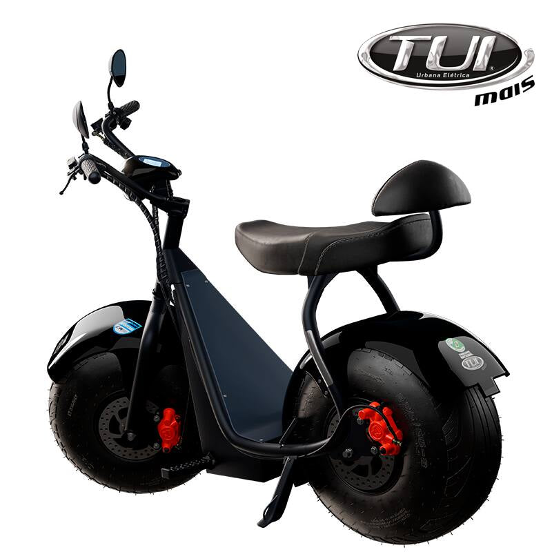 Tui mais bicicleta elétrica 1000W não precisa de CNH e não tem limite de idade