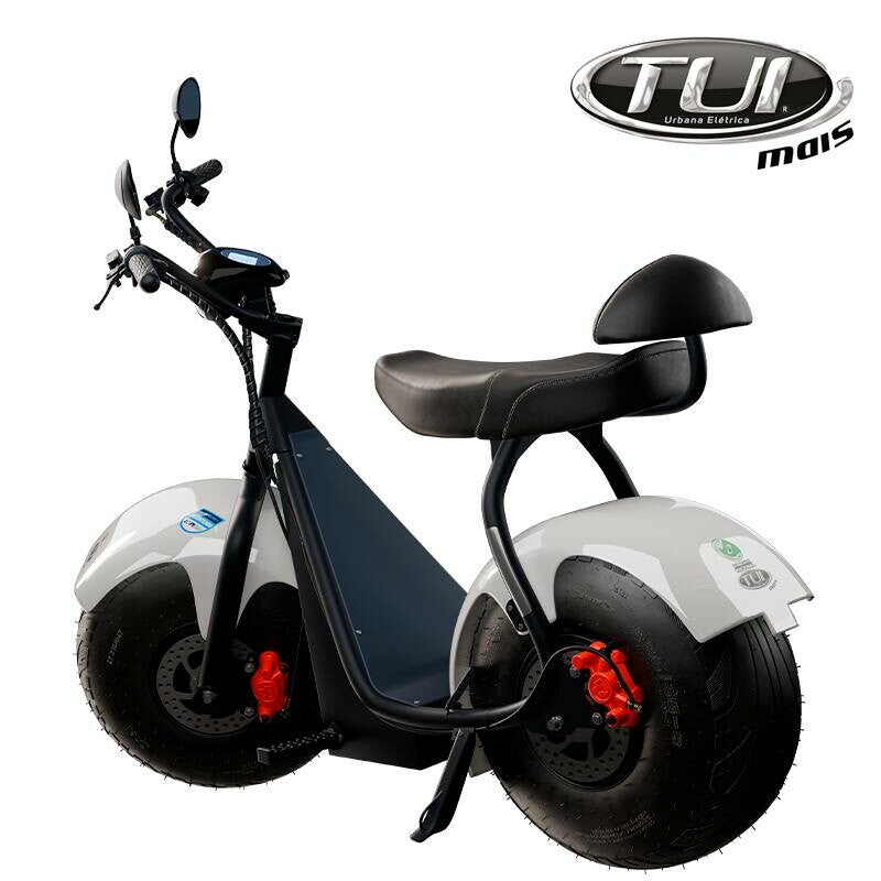 Tui mais bicicleta elétrica 1000W não precisa de CNH e não tem limite de idade