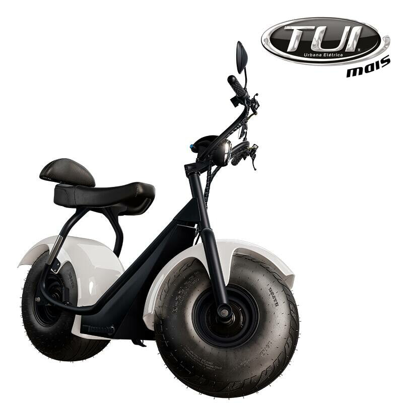 Tui mais bicicleta elétrica 1000W não precisa de CNH e não tem limite de idade