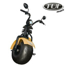 Tui mais bicicleta elétrica 1000W não precisa de CNH e não tem limite de idade