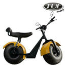 Tui mais bicicleta elétrica 1000W não precisa de CNH e não tem limite de idade